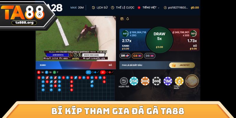 Bí kíp tham gia đá gà TA88