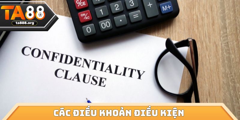 Các điều khoản điều kiện 