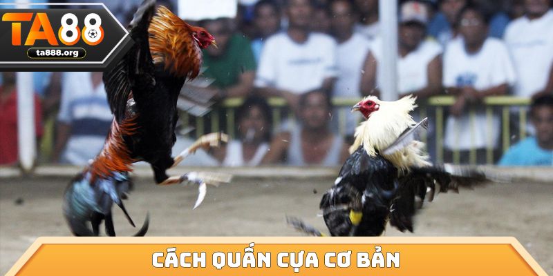 Cách quấn cựa cơ bản