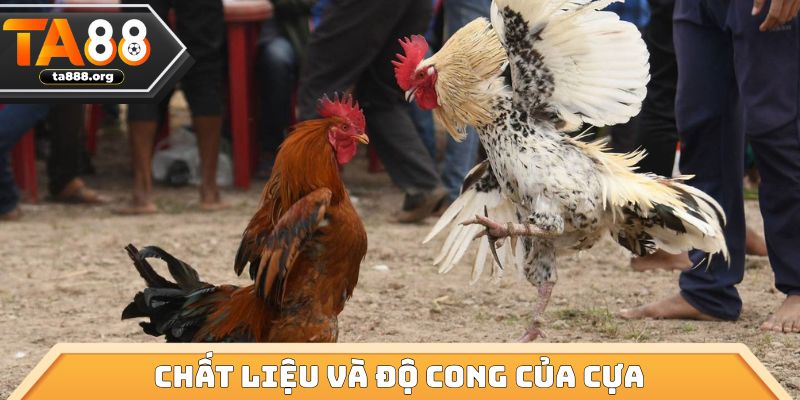 Chất liệu và độ cong của cựa