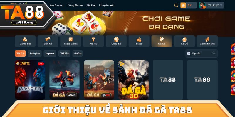 Giới thiệu về sảnh đá gà TA88